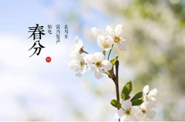 微信图片_20220320204624.png