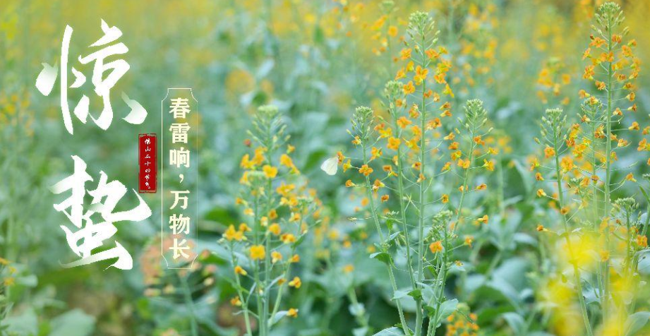 微信图片_20220320205956.png